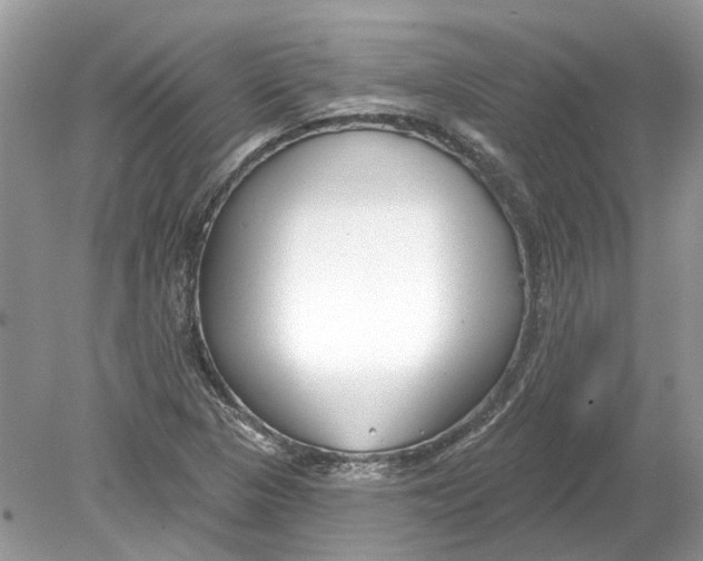 X0000078891313200612042040