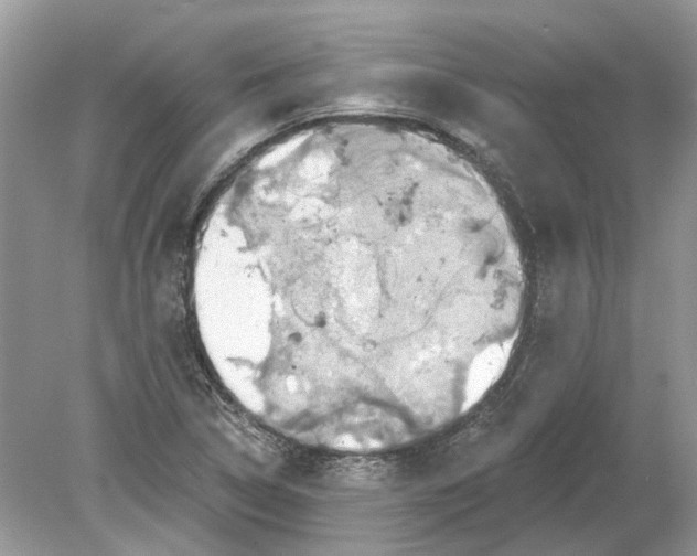 X0000078891314200612042040