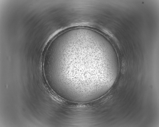 X0000078891316200612042040