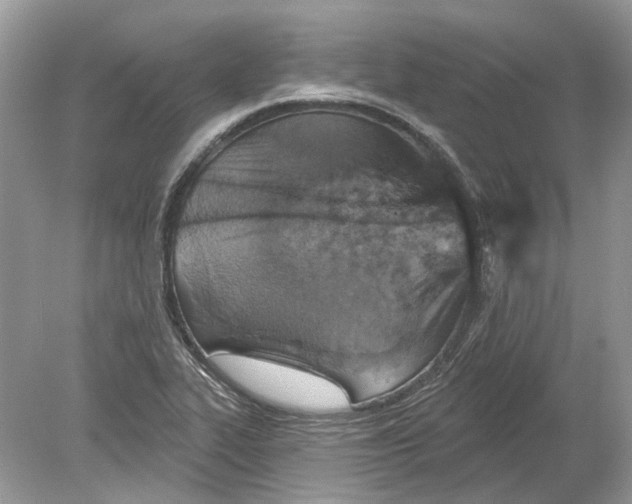 X0000078891319200612042040