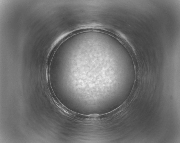 X0000078891320200612042040