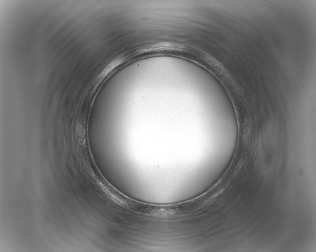 X0000078891321200612042040