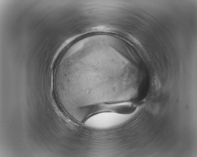 X0000078891323200612042040