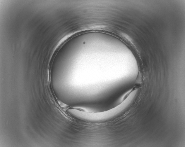 X0000078891324200612042040