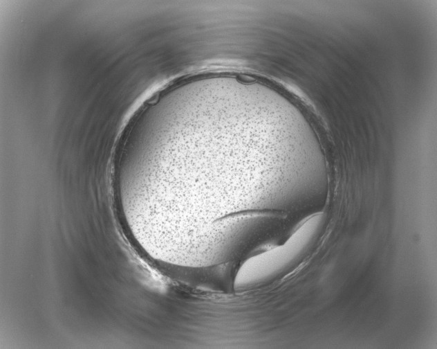 X0000078891325200612042040