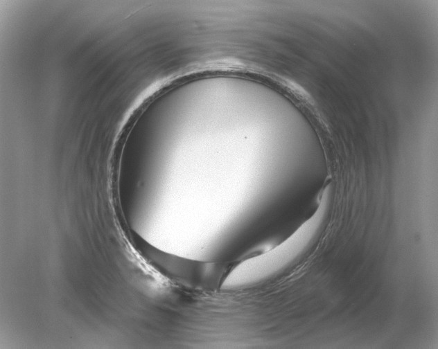 X0000078891326200612042040