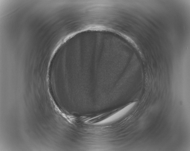 X0000078891327200612042040