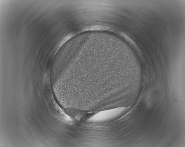 X0000078891329200612042040