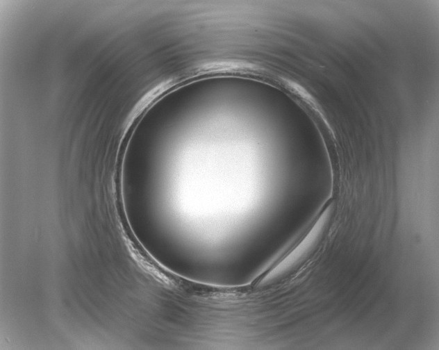 X0000078891330200612042040