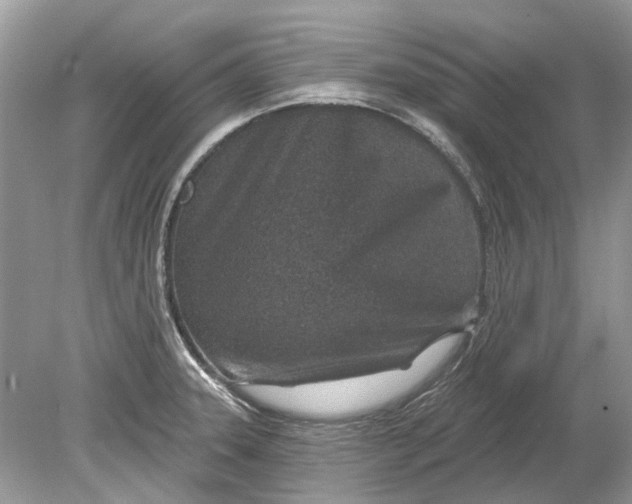 X0000078891331200612042040