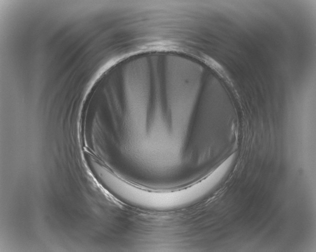 X0000078891334200612042040