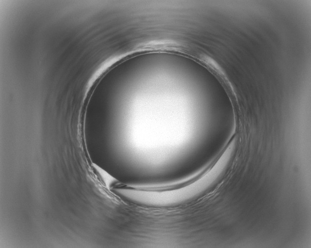 X0000078891336200612042040