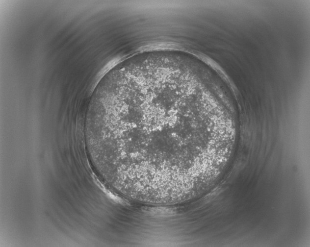 X0000078891337200612042040