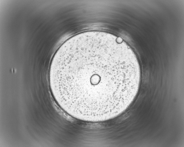 X0000078891338200612042040