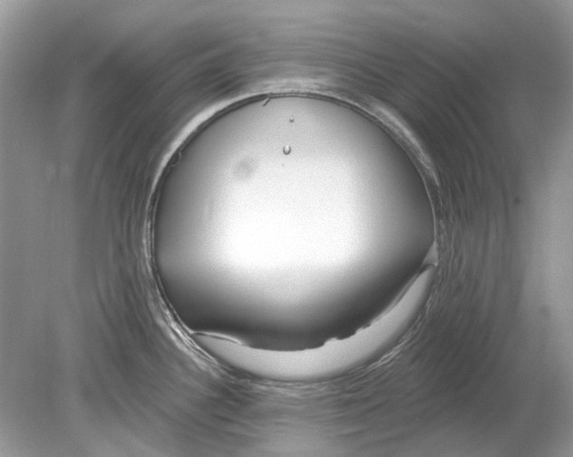 X0000078891340200612042040