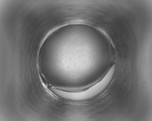 X0000078891342200612042040