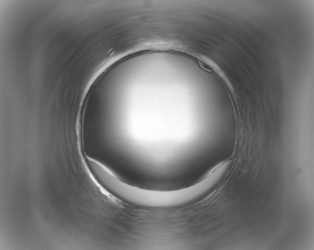 X0000078891343200612042040