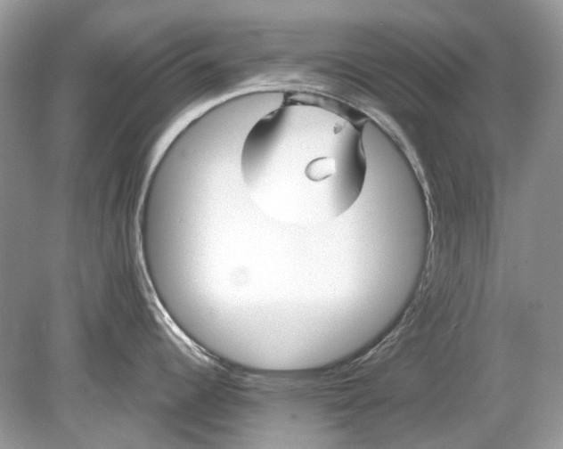 X0000078891344200612042040