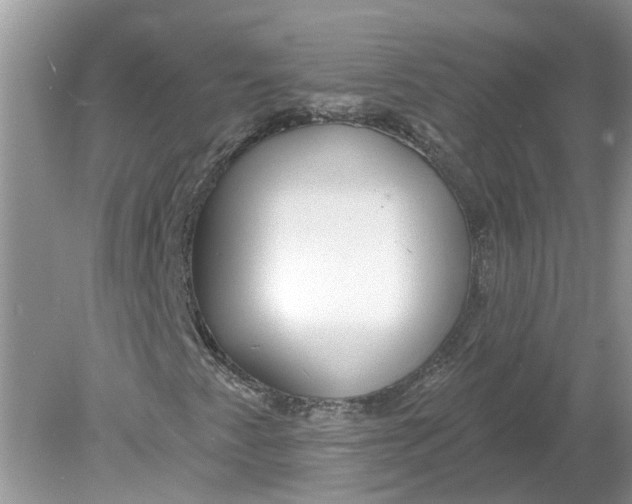 X0000078891345200612042039