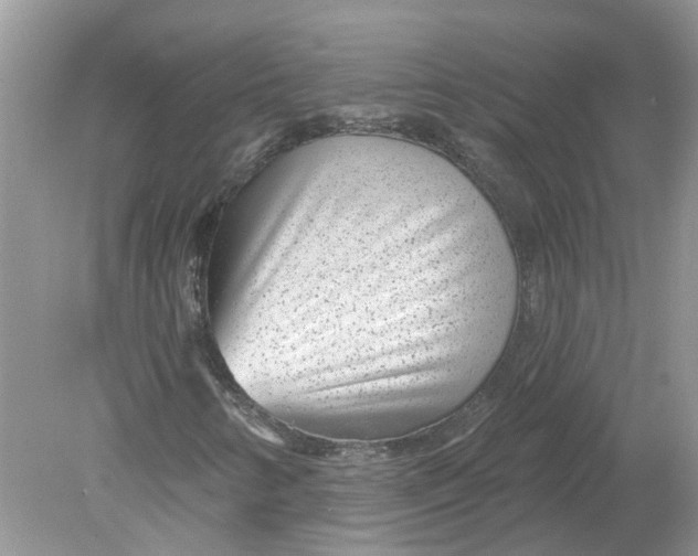 X0000078891346200612042039