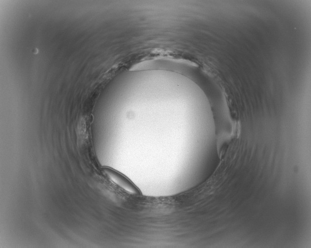 X0000078891347200612042039