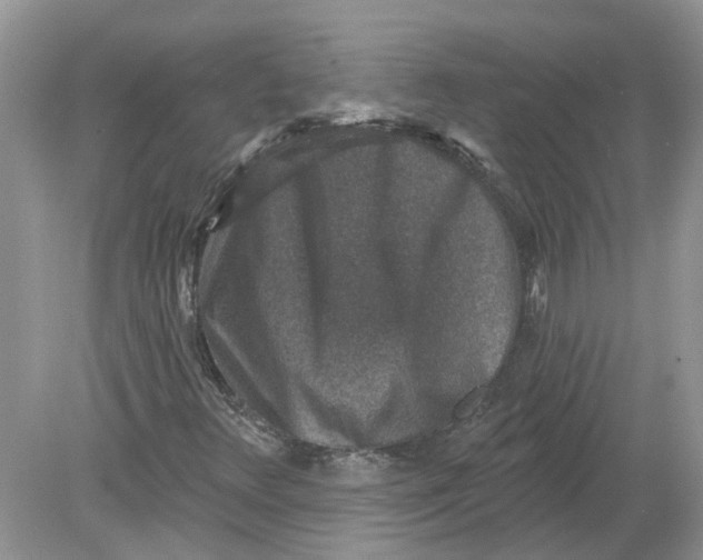 X0000078891348200612042039