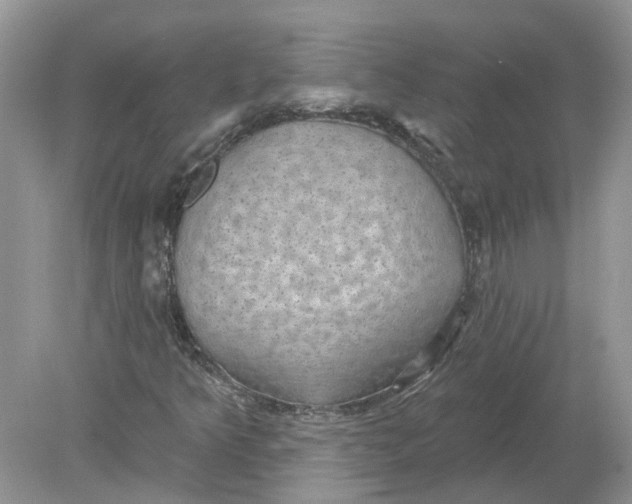 X0000078891349200612042039