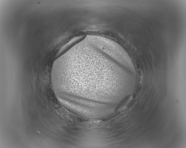 X0000078891350200612042039