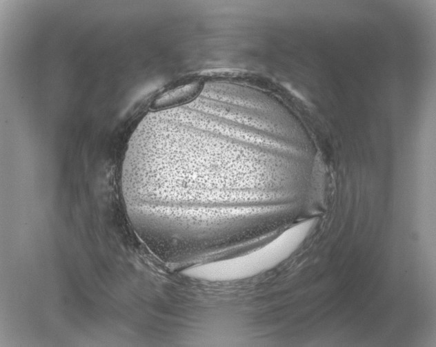 X0000078891351200612042039