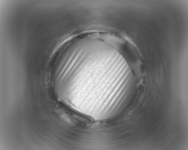 X0000078891352200612042039