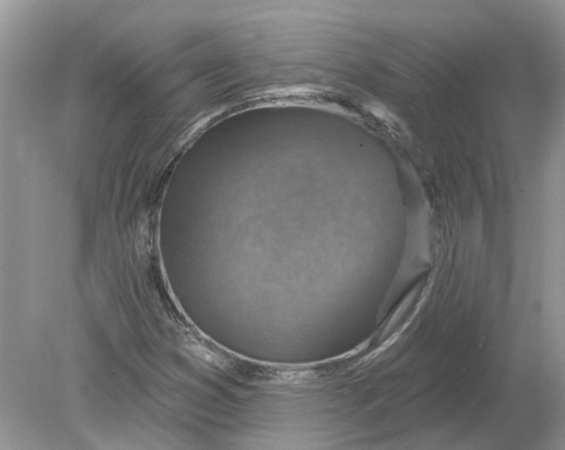 X0000078891353200612042039