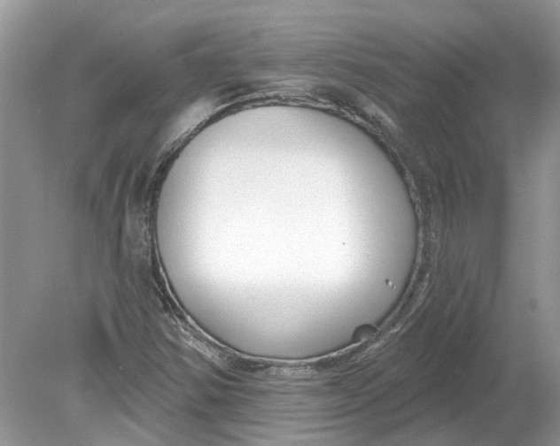 X0000078891354200612042039