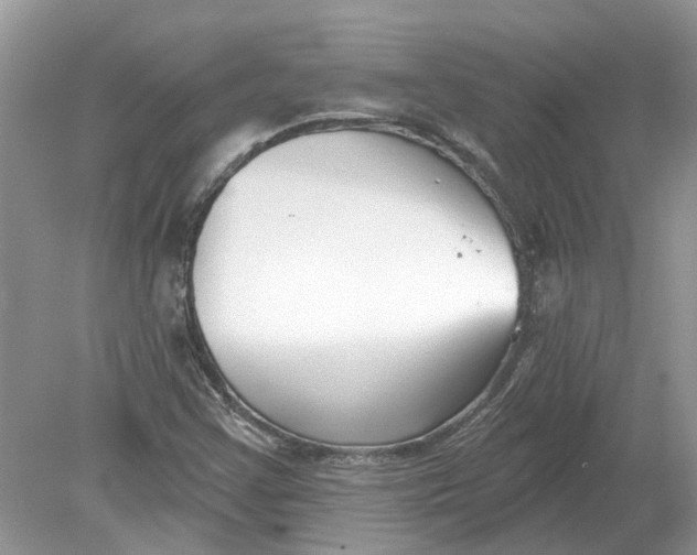 X0000078891355200612042039