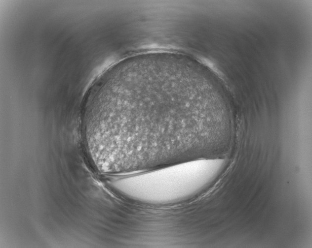 X0000078891357200612042039