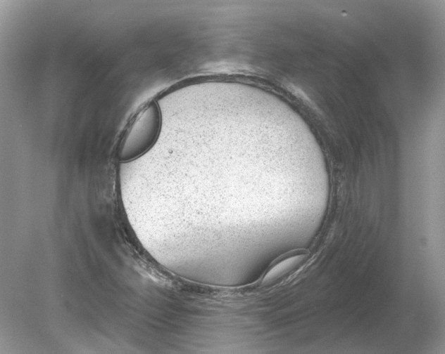 X0000078891358200612042039