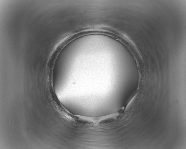 X0000078891360200612042039