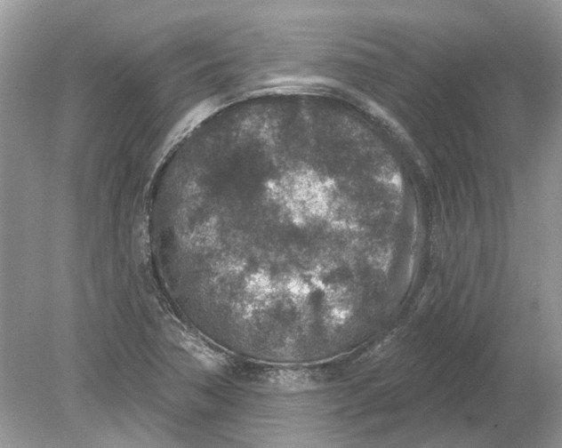 X0000078891362200612042039