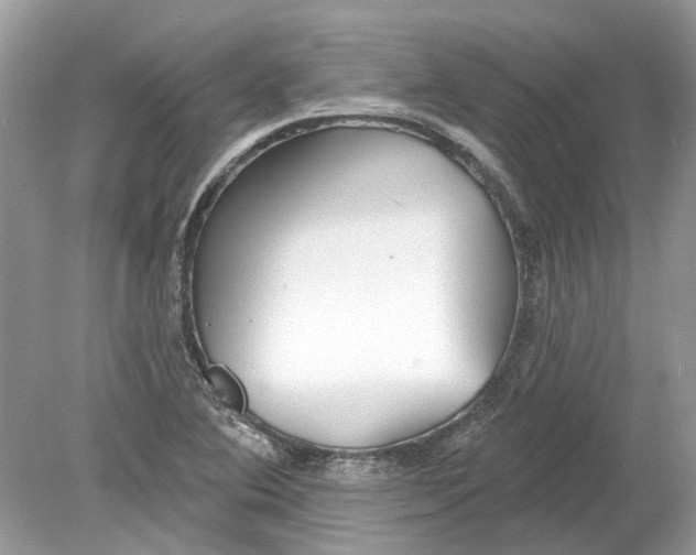 X0000078891364200612042039