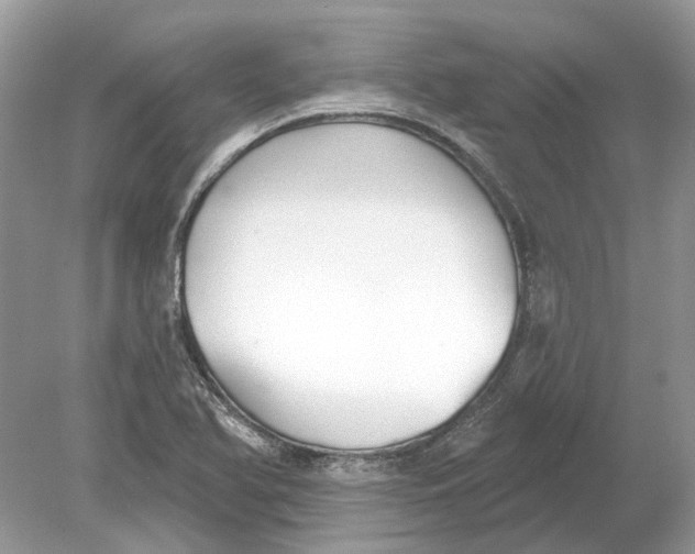 X0000078891366200612042039