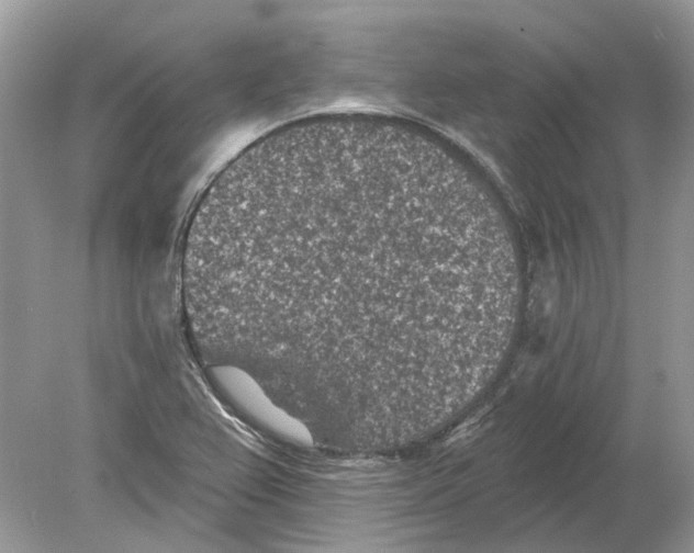 X0000078891367200612042039