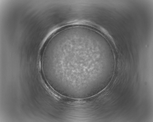 X0000078891368200612042039