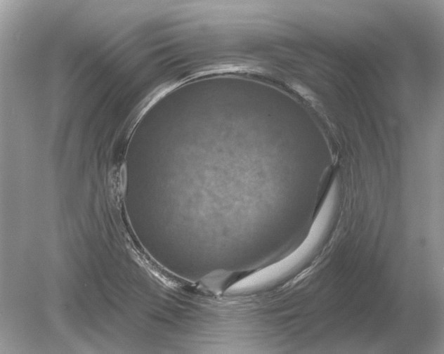 X0000078891369200612042039