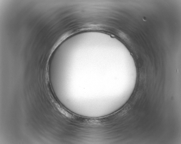 X0000078891370200612042039