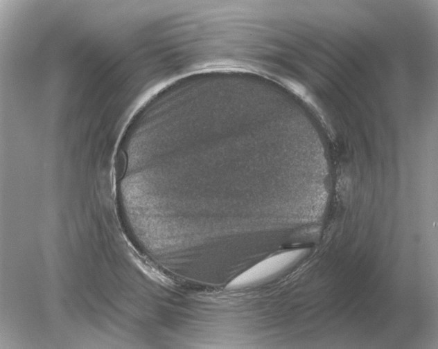 X0000078891372200612042039