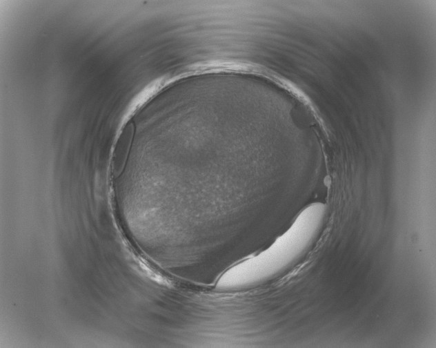 X0000078891373200612042039