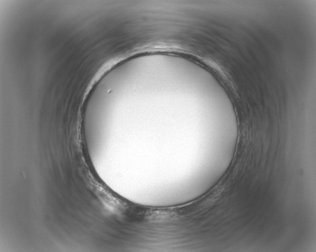 X0000078891374200612042039