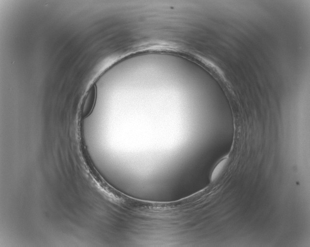 X0000078891375200612042039