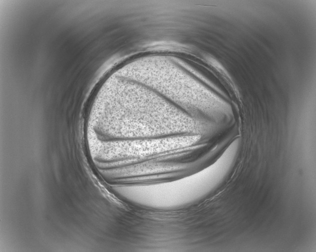 X0000078891376200612042039