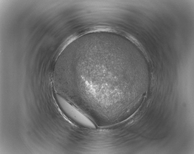 X0000078891377200612042039