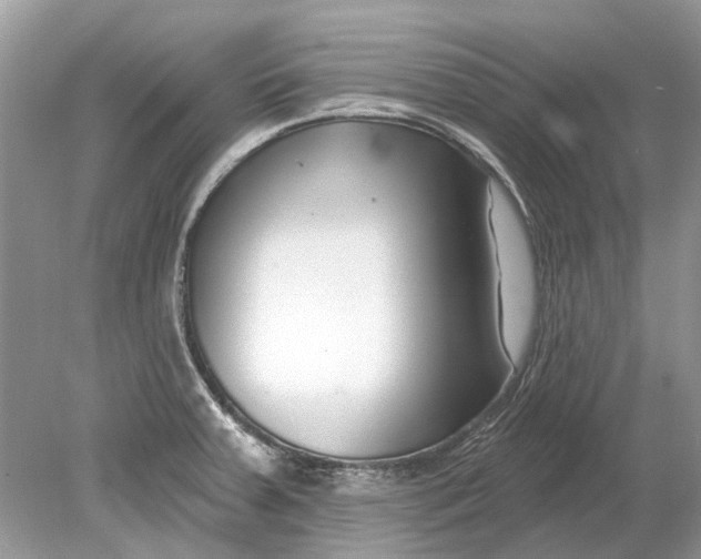 X0000078891379200612042039